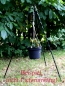 Preview: Tripod 1.20 m for: Goulash kettle, grill, fish kettle; black lacquered, garden decoration 1142