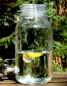 Preview: Drink dispenser 4 litres with swing top, party, garden party, gift idea