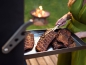 Preview: SURT XXL - The Outdoor Barbeque Oven