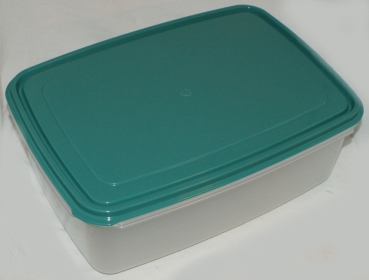 Ripening box incl. cheese mat / draining mat (lid mint green) approx. 9 litres - 37.5x26.5x13.2 cm