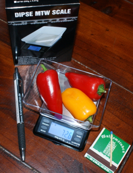 Dipse - MTW-Series -200, Digital Spice Scale, Fine Scale, Gold Scale Pocket Scale